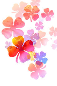 Fleurs dessin1